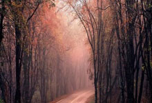 亚星:首届国乒成都基地少儿乒乓球公开赛落幕2025-02-16.