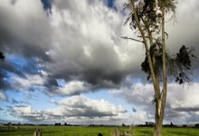 亚星:苦战三盘!19岁门希克险胜弗里茨,首进迈阿密大师赛决赛创历史.