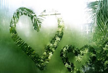 亚星:国足客战沙特:塞尔吉尼奥替补,张玉宁、蒋圣龙、韦世豪首发.